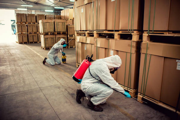 Best Local Pest Control Services  in Newport, OH
