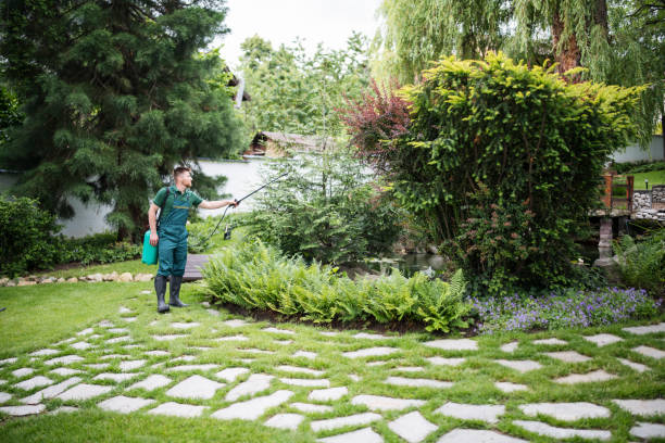 Trusted Newport, OH Pest Control Experts