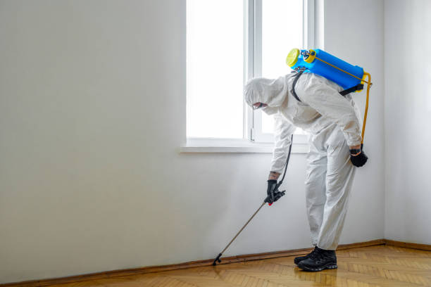 Best Residential Pest Control  in Newport, OH