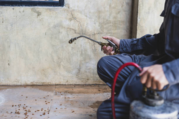 Pest Control for Restaurants in Newport, OH